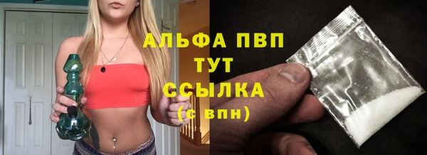 крисы Алзамай