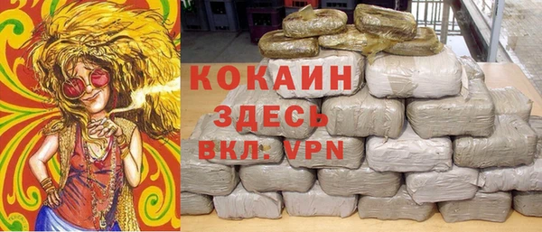 не бодяженный Алексин