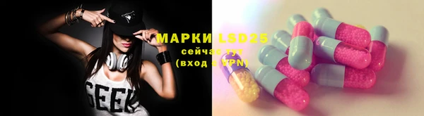 крисы Алзамай