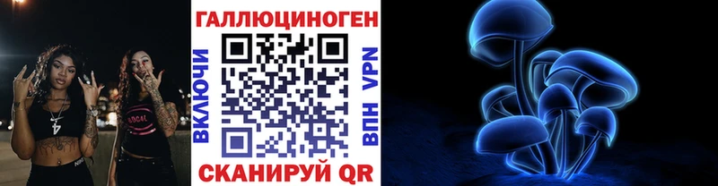 закладка  Шиханы  Псилоцибиновые грибы MAGIC MUSHROOMS 